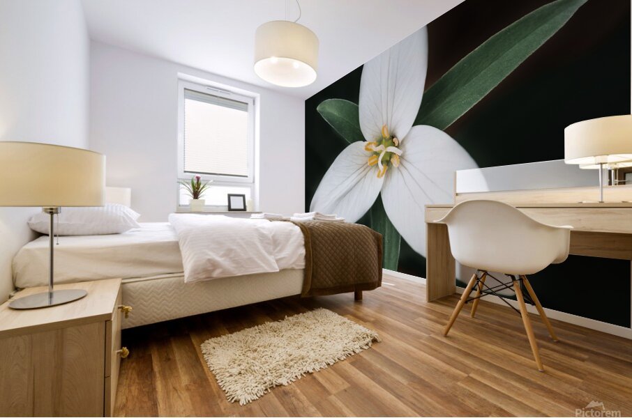 The Lone Bloom: A Study of Solitude in Flora Mural print