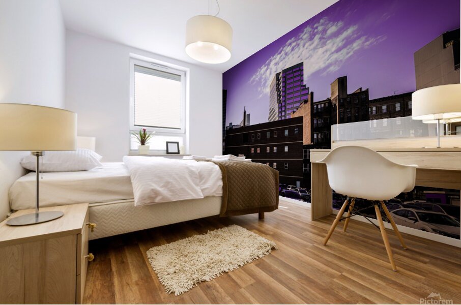 DSC00242 Mural print