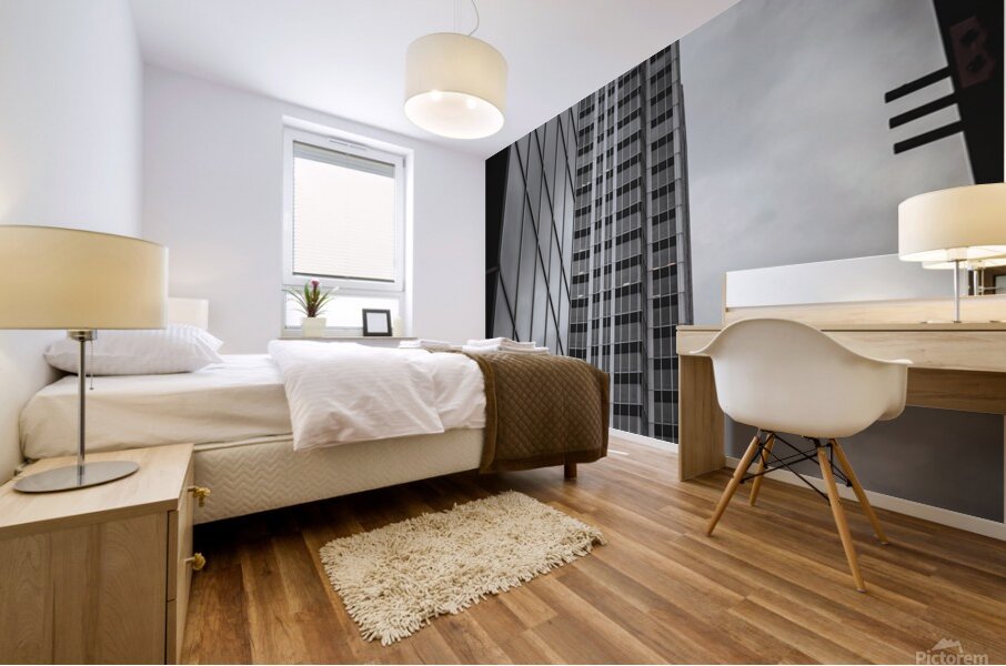 DSC03051 Mural print