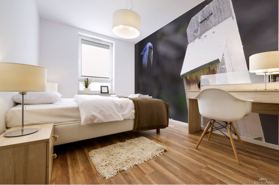 CR5 8111 Mural print