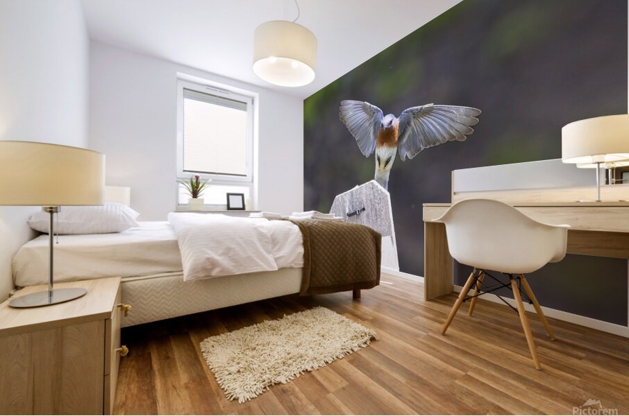 CR5 8076 Mural print