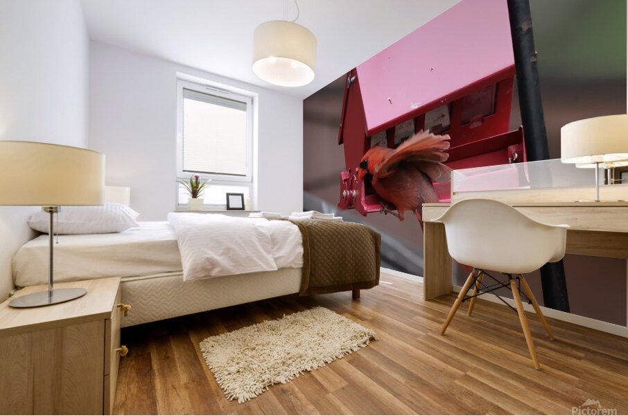 CardinalAtFeederLanding Mural print