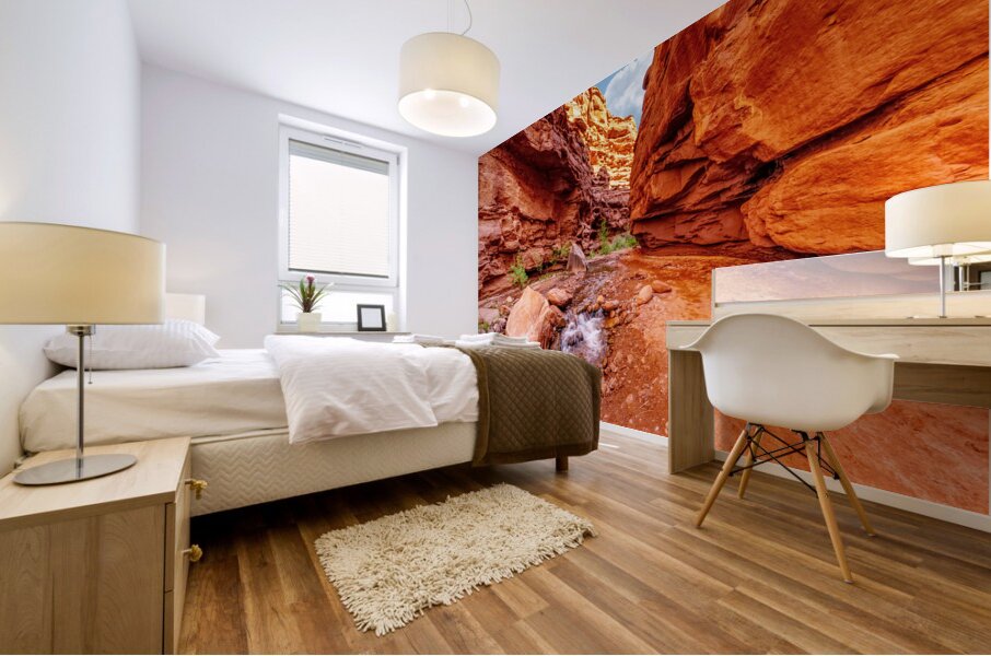 Small Waterfall Mary Jane Canyon Mural print