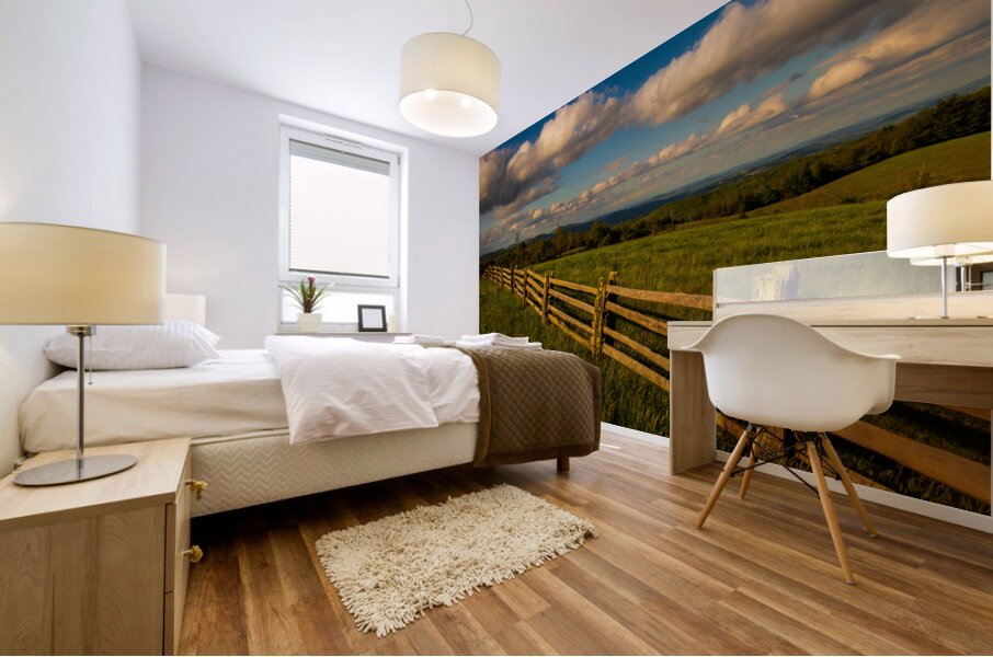 Blue Ridge Mountain Hilltop Mural print