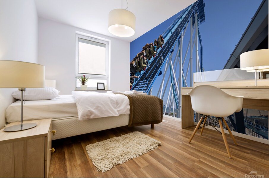 Cedar Point Mural print