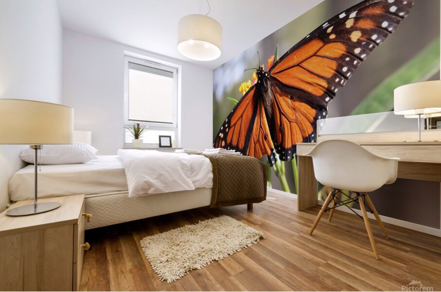 Butterfly Mural print