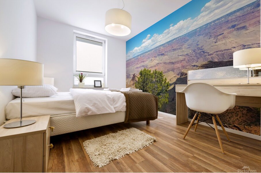 Grand Canyon 1 Mural print
