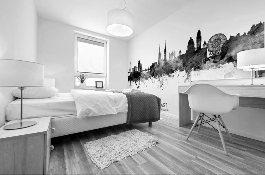 Belfast Northern Ireland Skyline Mural print