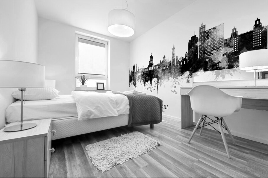 Havana Cuba Skyline Mural print