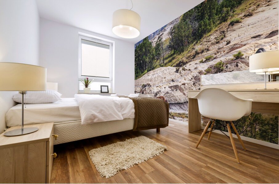 Bison in the Dakota Badlands Mural print