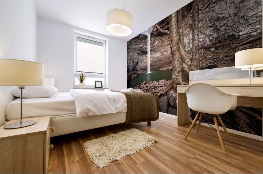 Reaching for Ozone Falls Mural print