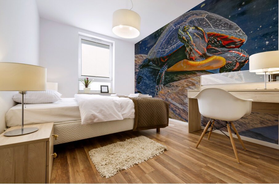 Painted Turtle Basking in the Sun Mural print