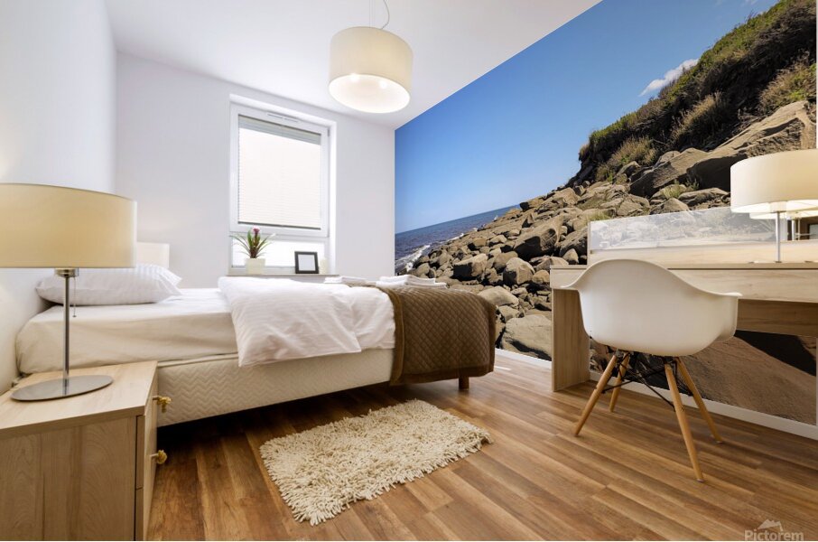 Rocky Beach Mural print