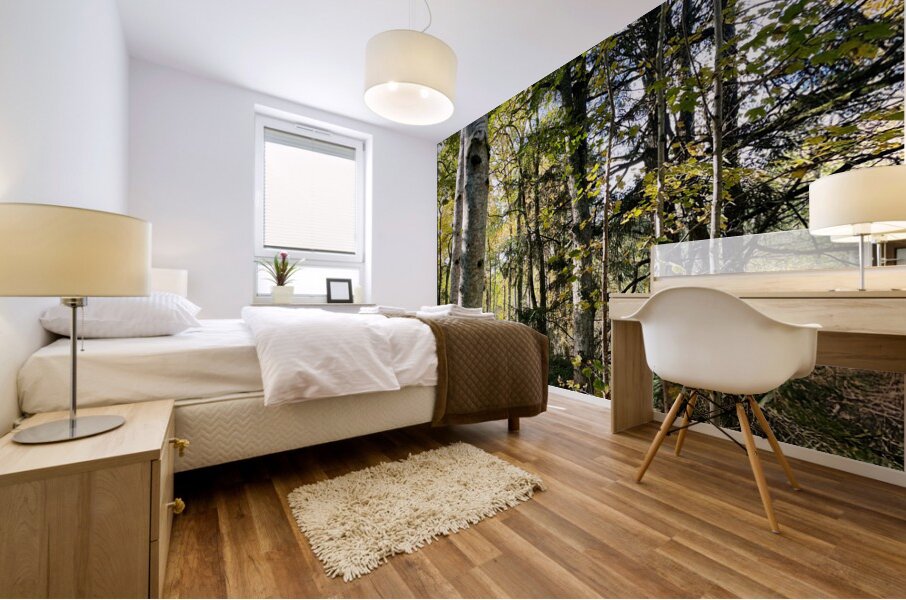 Autumns Sunlight in the Scottish Highlands Mural print