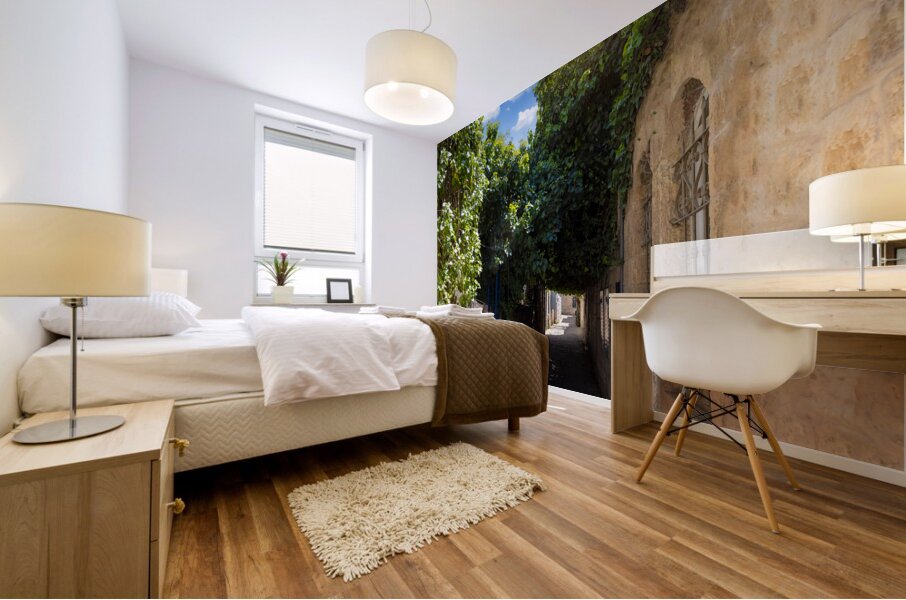 Israel Jerusalem old narrow streets of Nahlaot historic neighborhood with many small synagogues Mural print