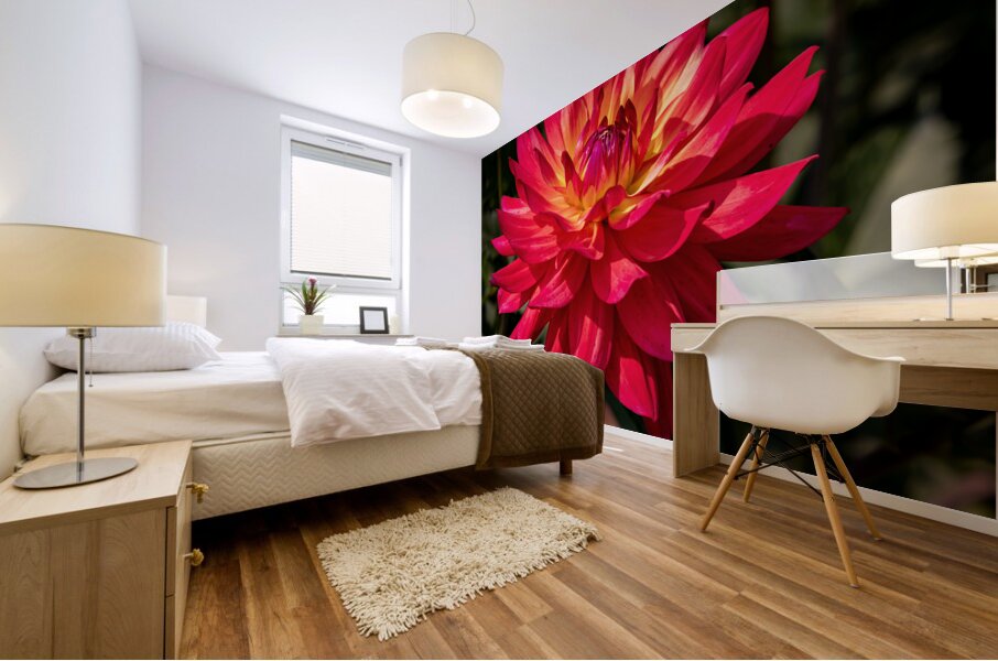 Floral - Dahlia Mural print