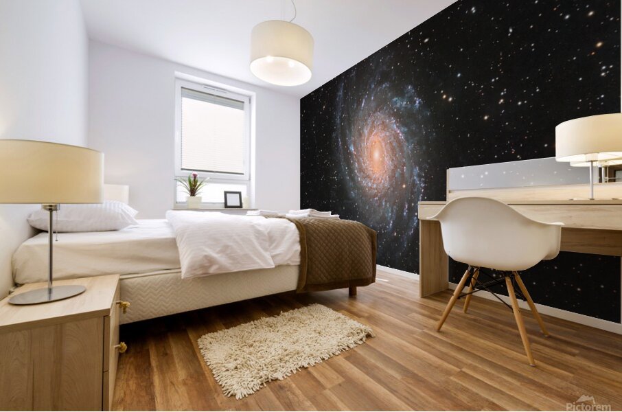 NGC 6744 Mural print