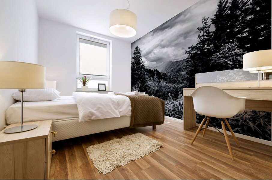 Tennessee Mountains Perfection in Black and white Mural print