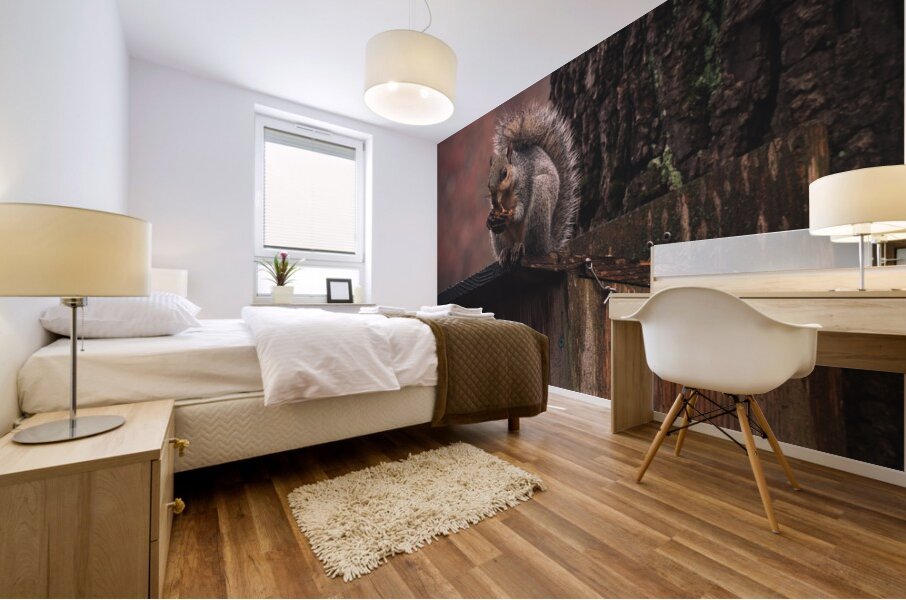 Squirrel on a Birdhouse   Rainy Autumn Mural print