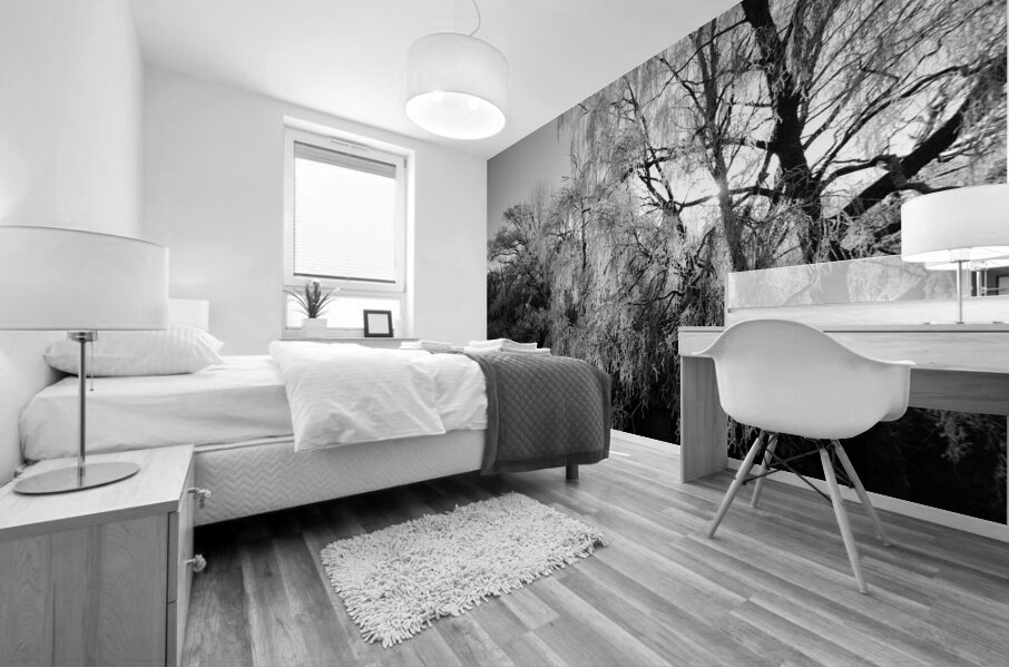  Black and White Winter Beauty in the Scottish Highlands Mural print