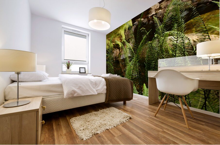 Summer Forest Ferns in the Scottish Highlands  Mural print