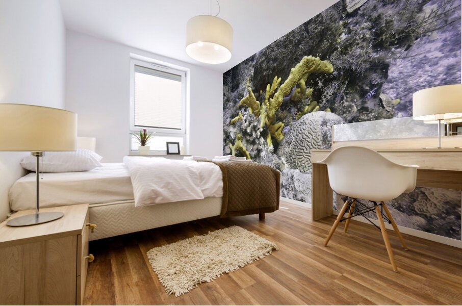 Copyright Mural print