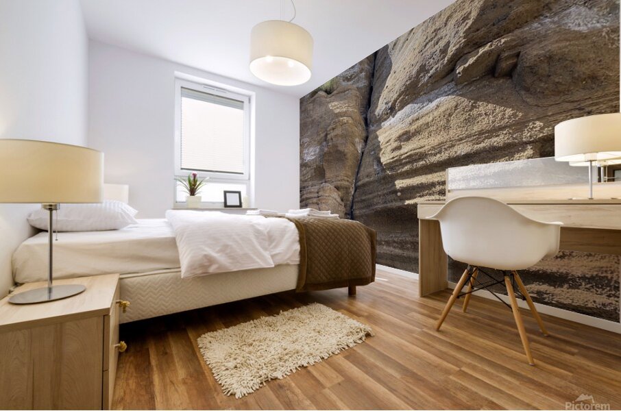 IMG 0911 Mural print