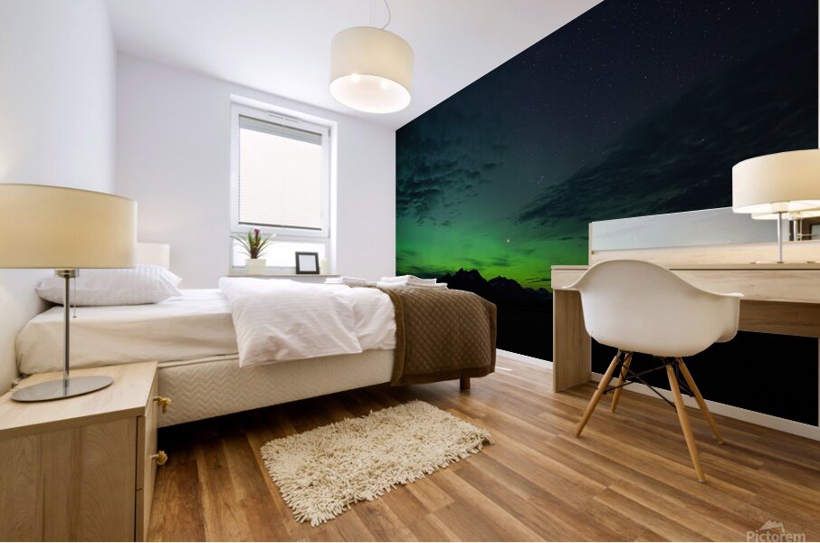 Auroras in the Distance Mural print