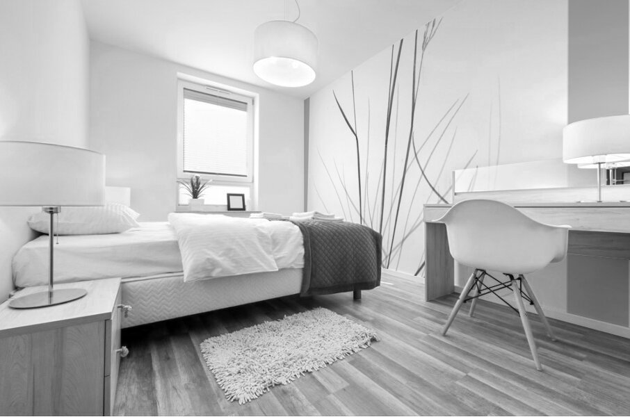 Poa labradorica Mural print