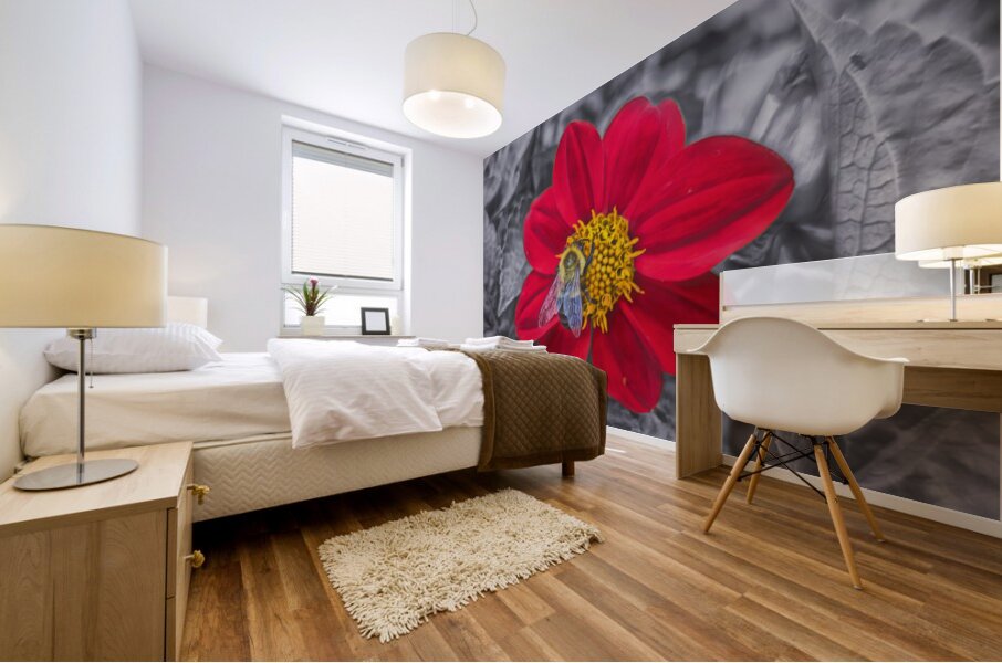 Lone Bee Red Dahlia Mural print