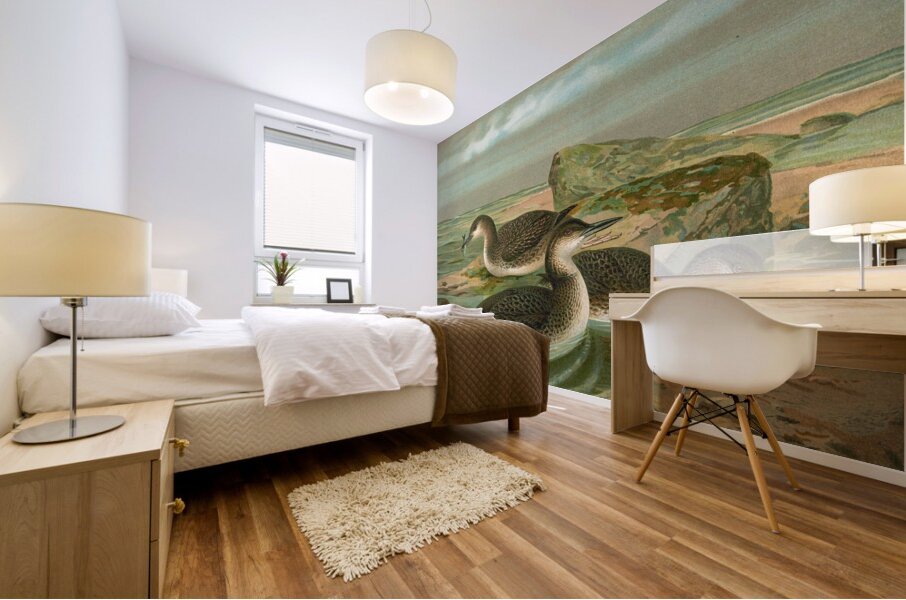 Gavia arctica [L.]. Polar–Seetaucher. By Johann Friedrich Naumann [1780–1857] Mural print