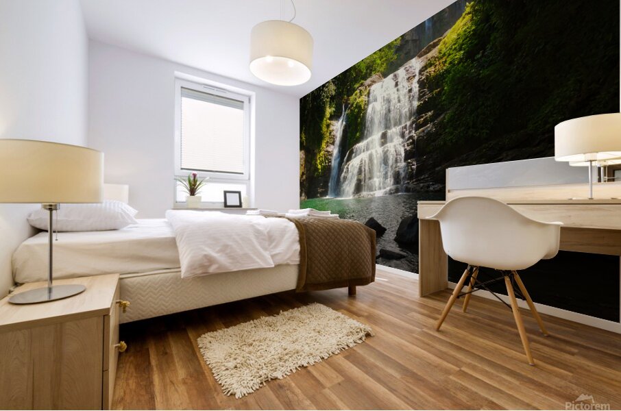 Lower Nauyaca Falls Mural print