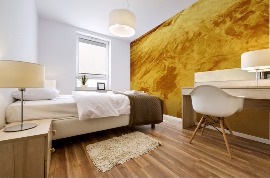 NASA Explore Posters - Venus B Mural print