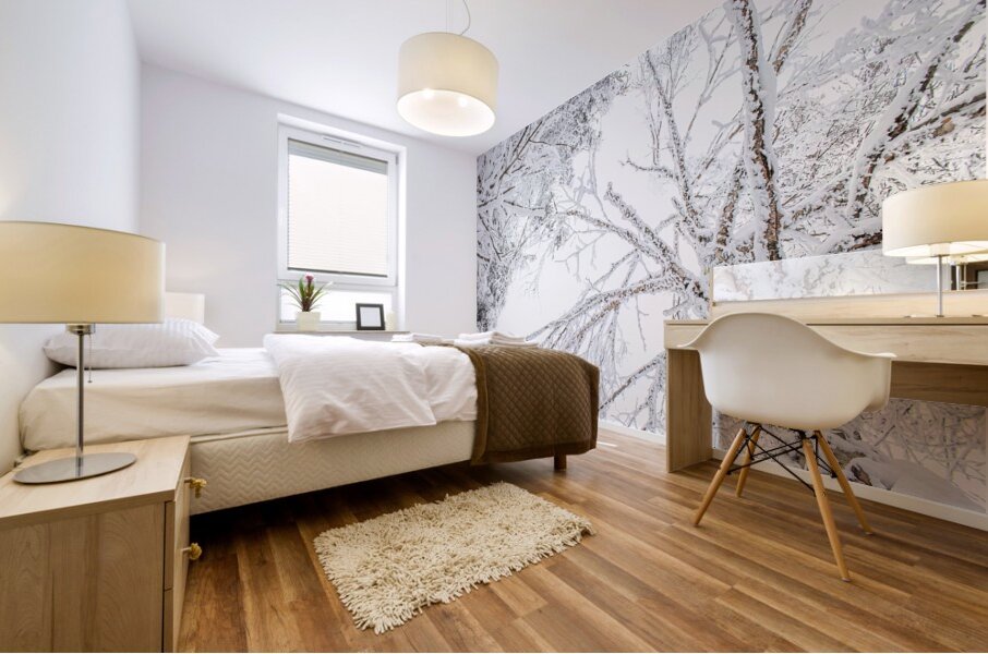 ciel blanc Mural print