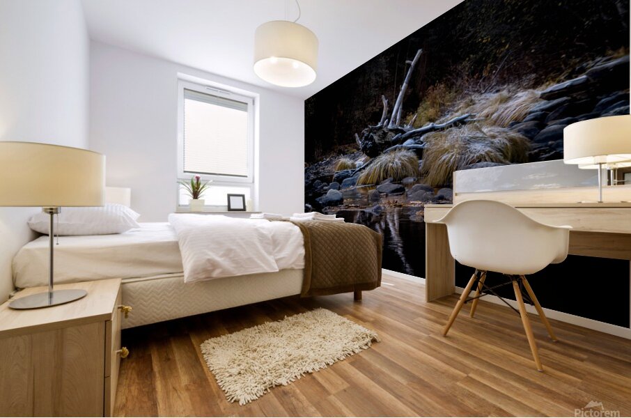 IMG 7561 4 Mural print