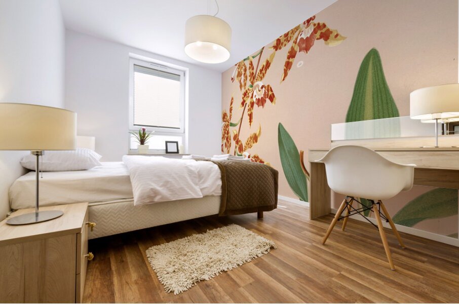 Odontoglossum Triumphans [1885] by Harriet Stewart Miner [1840–1895] Mural print