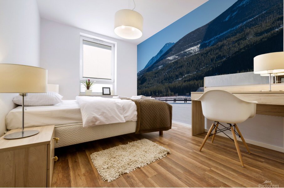 DSC 3357 Mural print