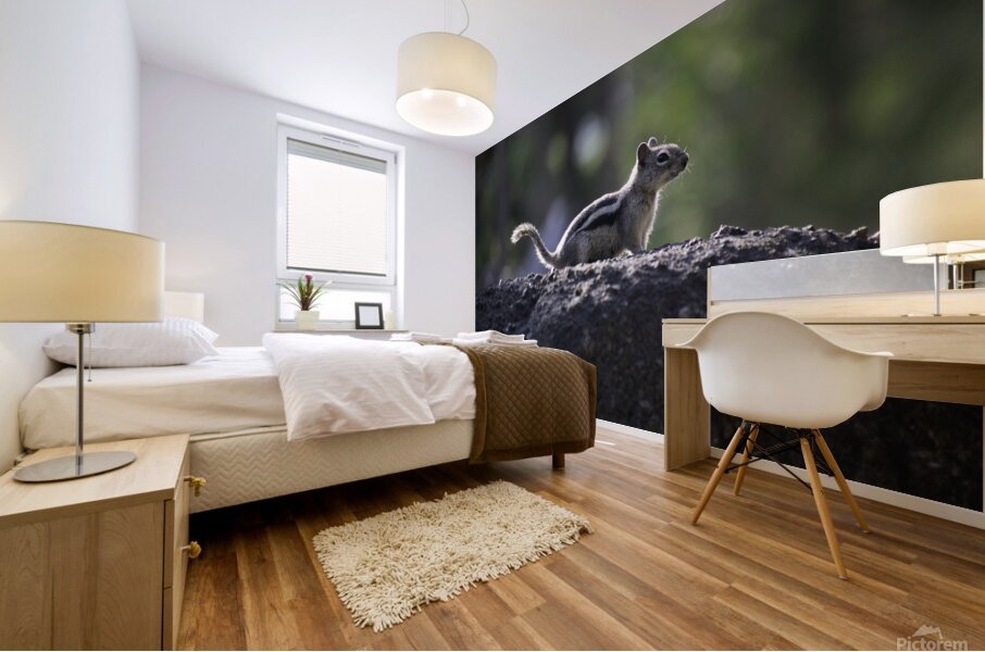 DSC 3989 Mural print