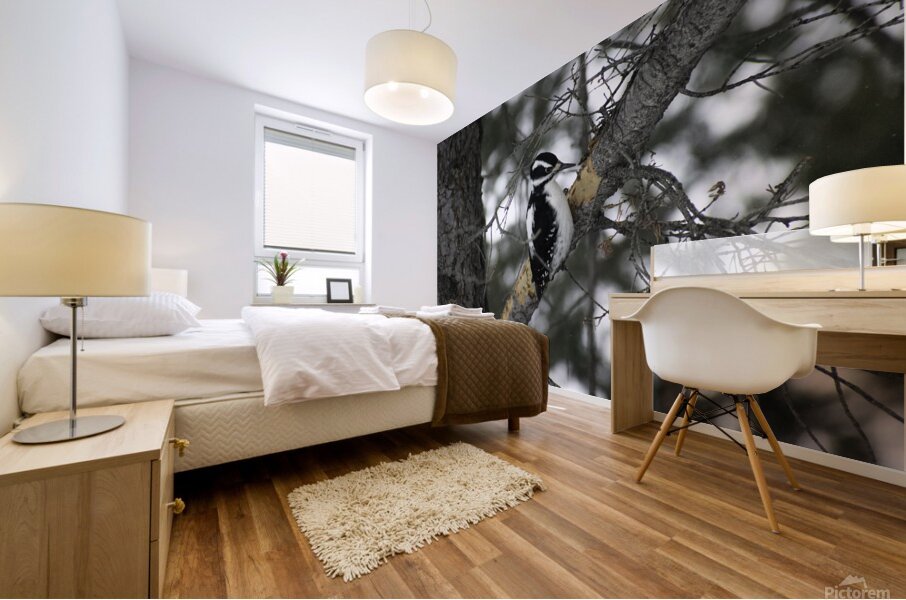 DSC 8012 Mural print