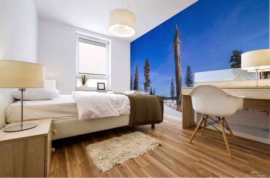 Moonlit Sentinel - Long Lake - Lassen County California nightscape Mural print