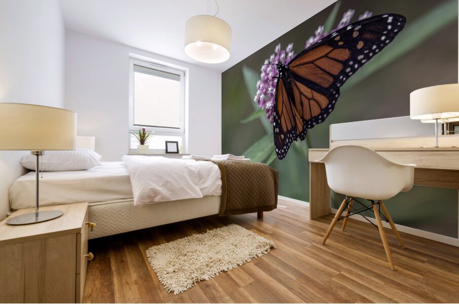 Monarch Butterfly Mural print