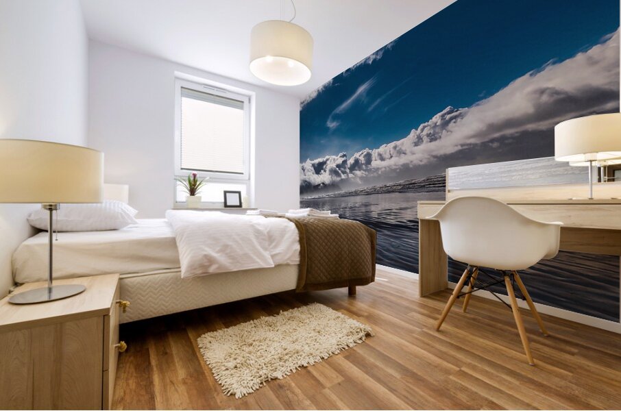 IMG 20250203 125235968 Mural print