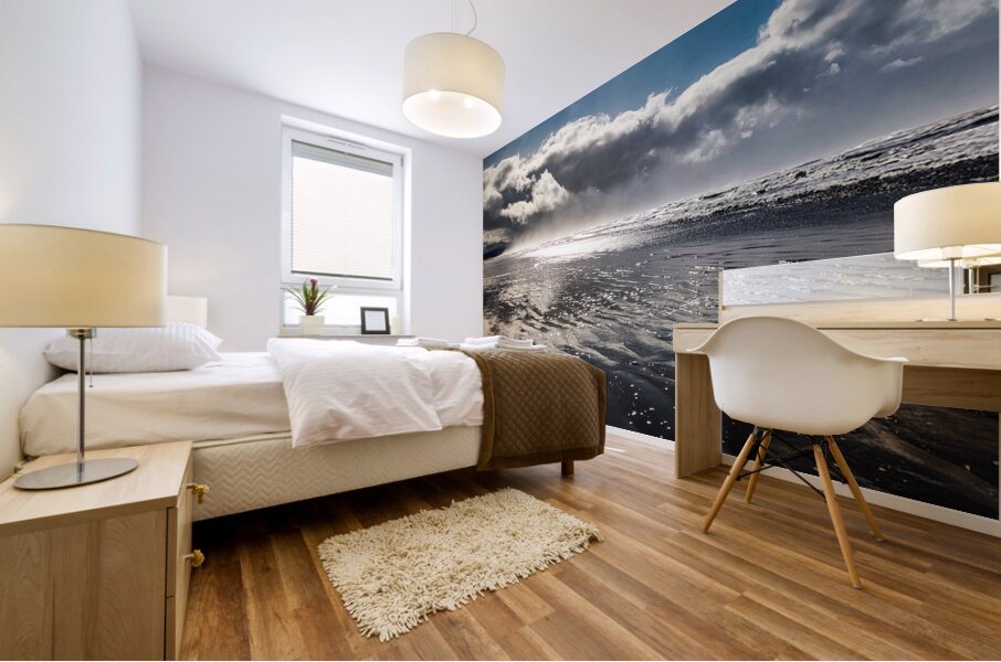 IMG 20250203 130453082 HDR Mural print