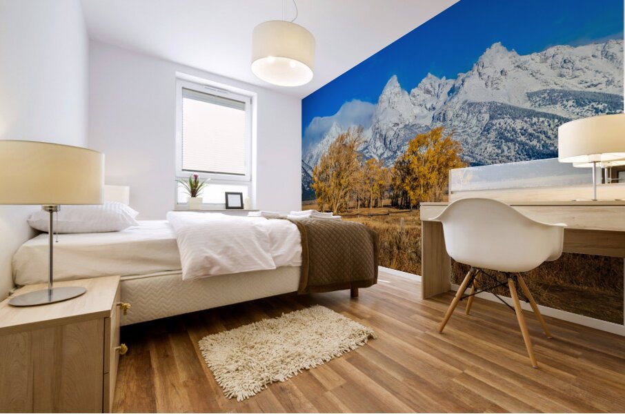 Fall Tetons Mural print