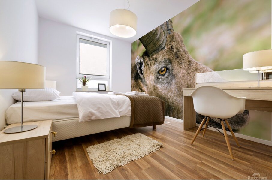 HORNS AND BEARD Mural print