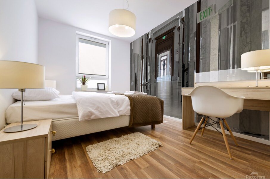 IMG 4622 Mural print