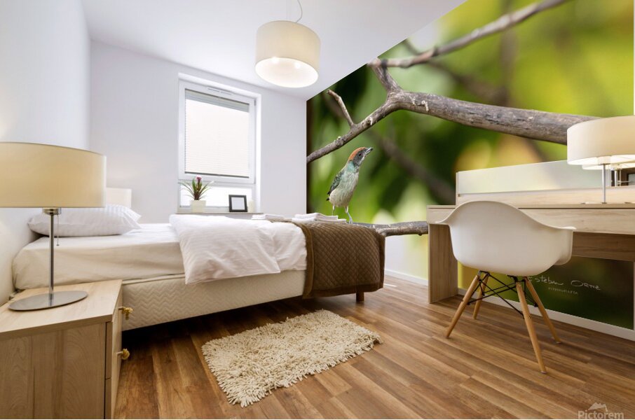 Stilpnia vitriolina Mural print