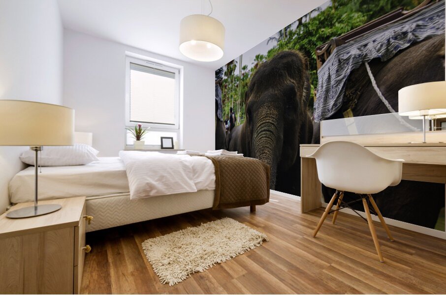 Touch of Trust Mural print