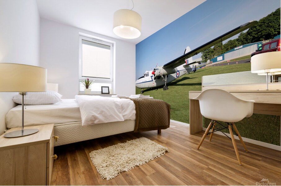 Percival Pembroke Mural print