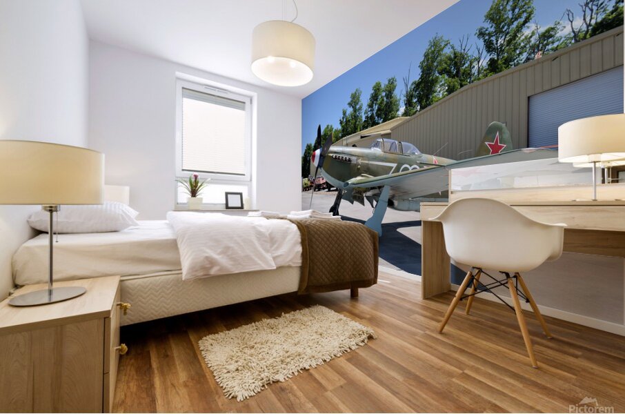 Yakovlev 9UM Mural print